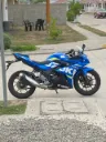 Suzuki GSX 250R 2018 GP ABS